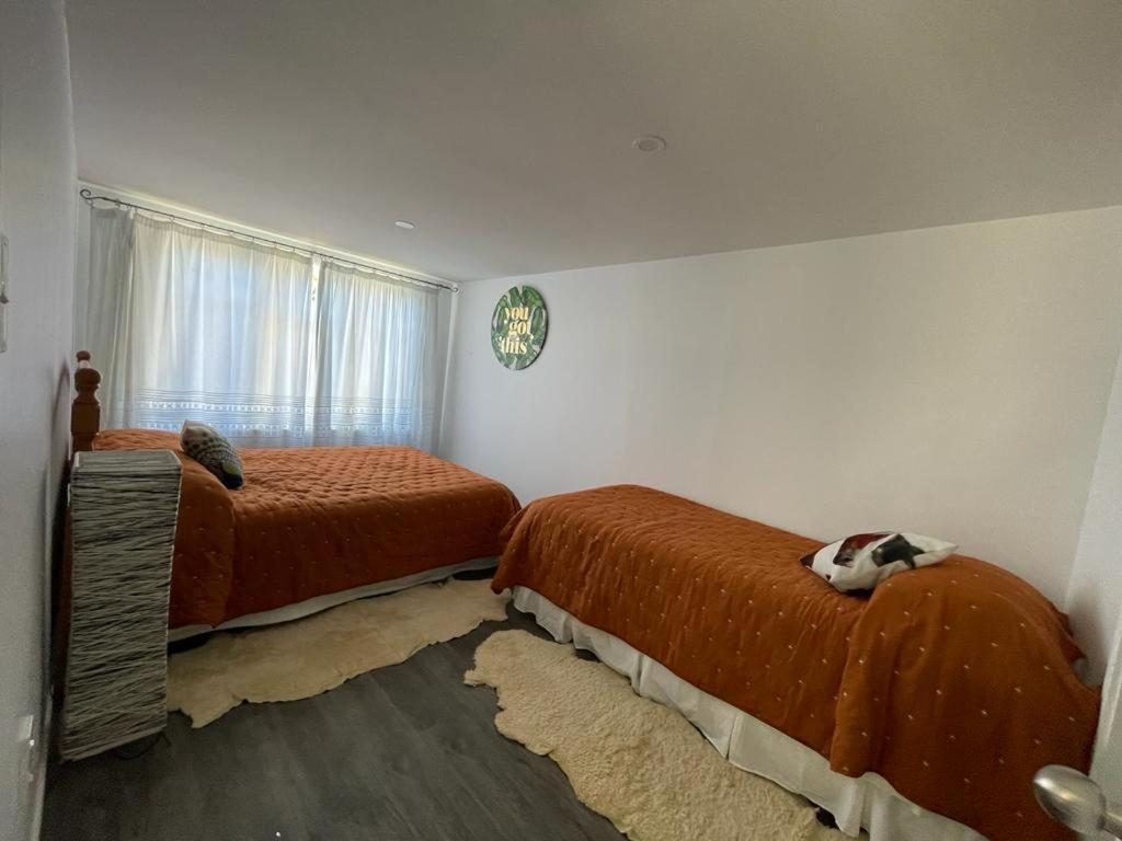 Apartamento Awa Tui Batch Blenheim Exterior foto
